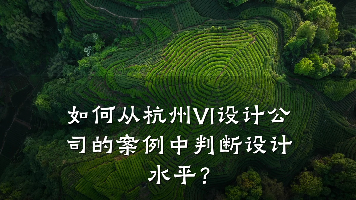 如何从杭州VI设计公司的案例中判断设计水平?