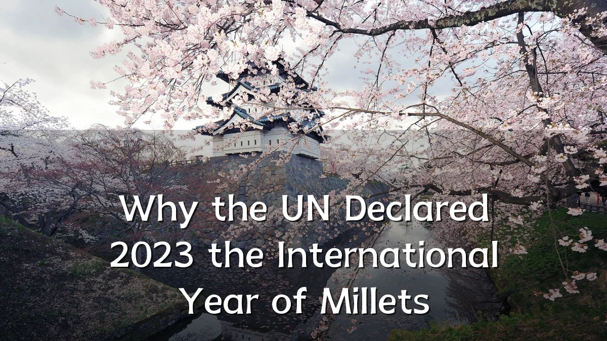 Why the UN Declared 2023 the International Year of Millets
