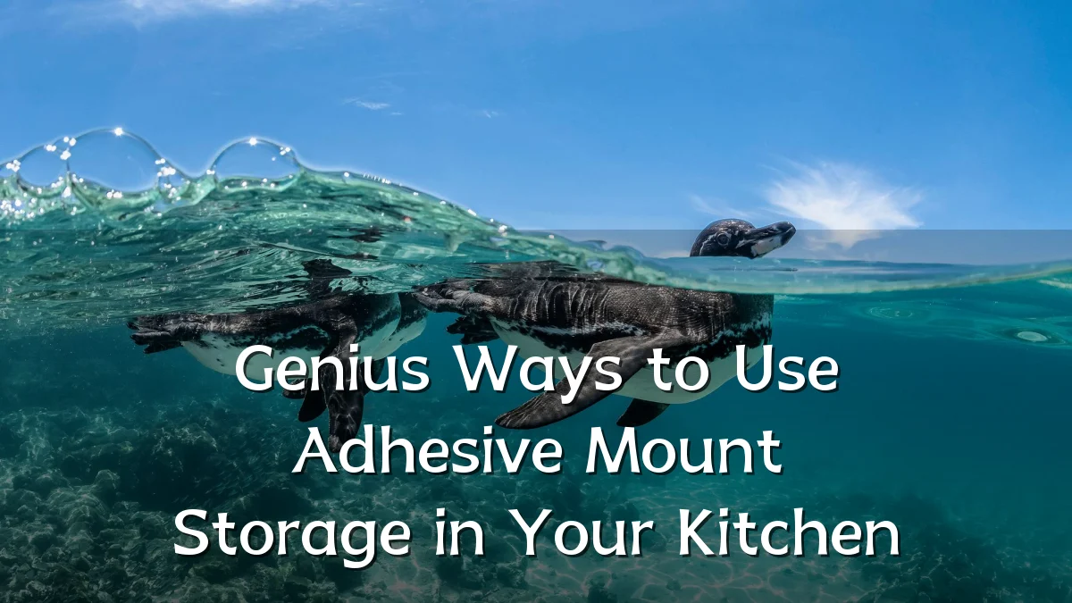 Genius Ways to Use Adhesive Mount Storage in Your Kitchen