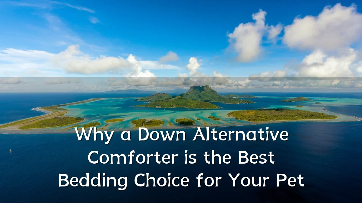 Why a Down Alternative Comforter is the Best Bedding Choice for Your Pet