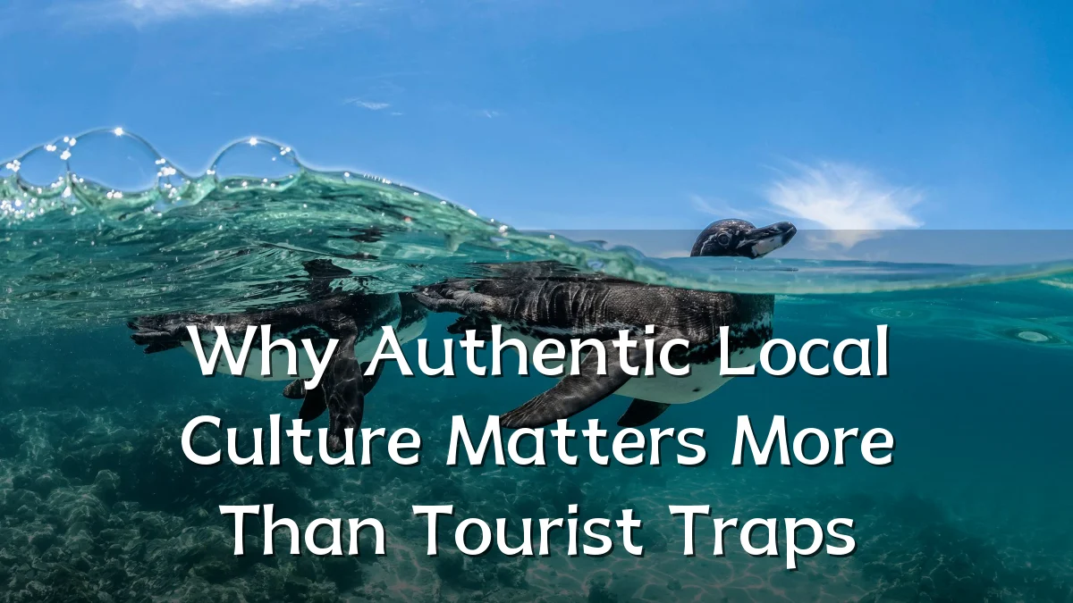 Why Authentic Local Culture Matters More Than Tourist Traps