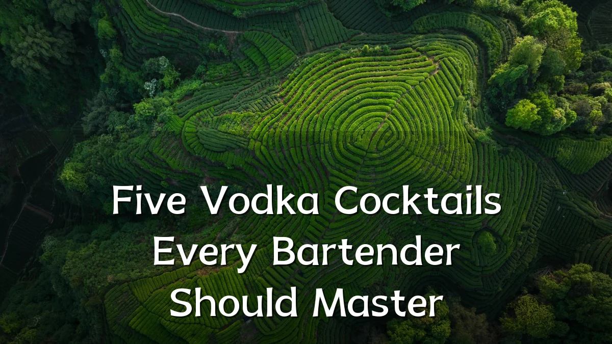 Five Vodka Cocktails Every Bartender Should Master