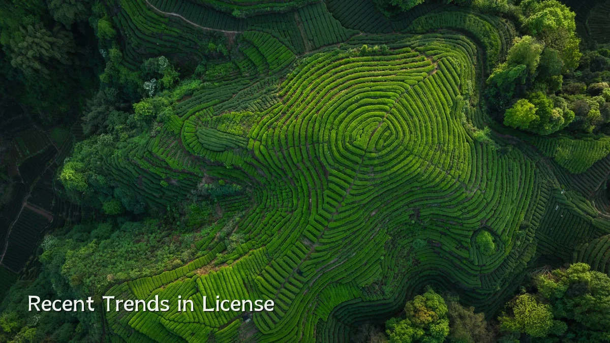 Recent Trends in License