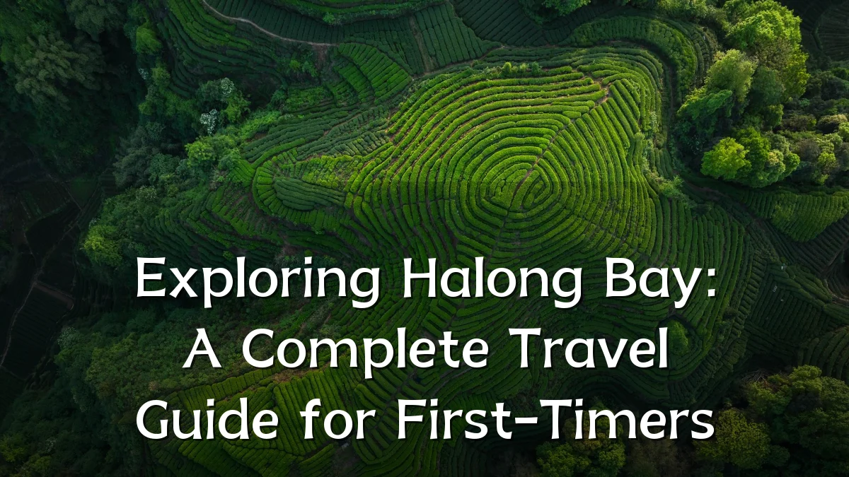Exploring Halong Bay: A Complete Travel Guide for First-Timers