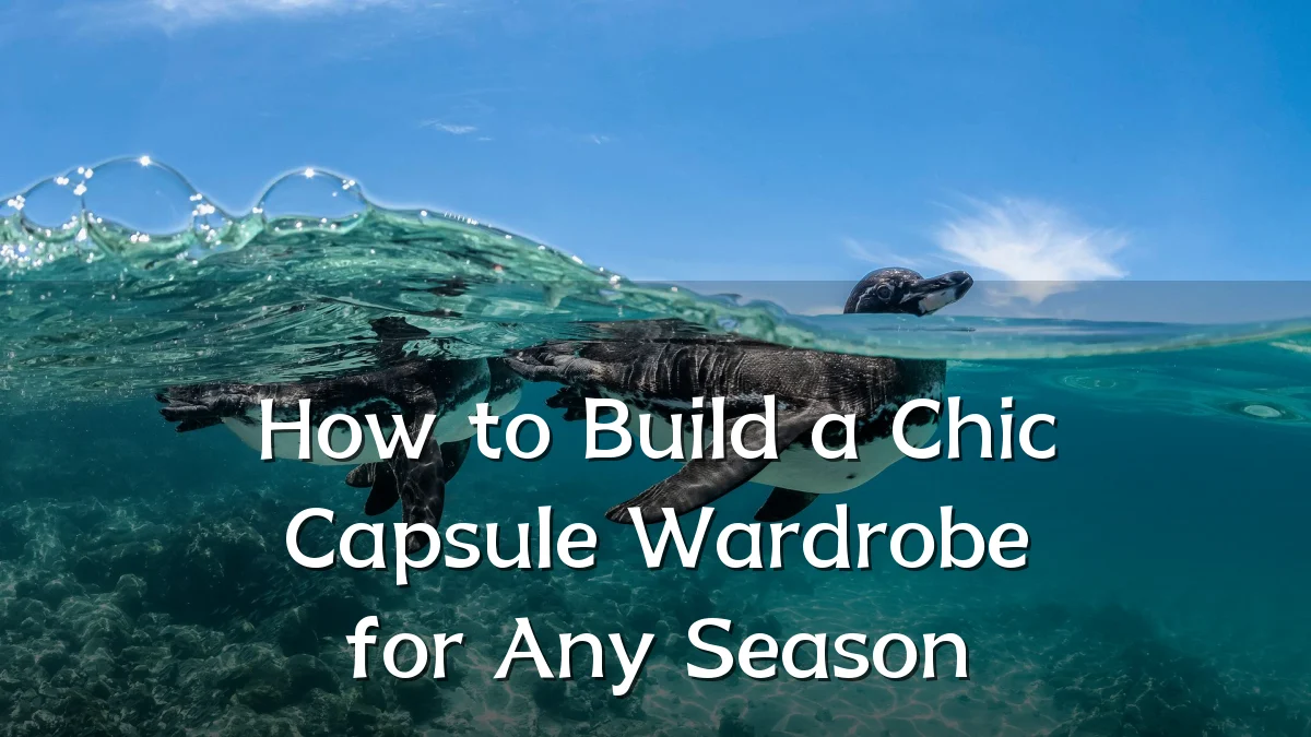 How to Build a Chic Capsule Wardrobe for Any Season