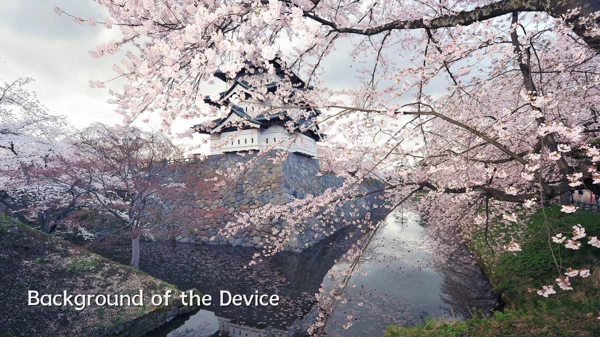 Background of the Device