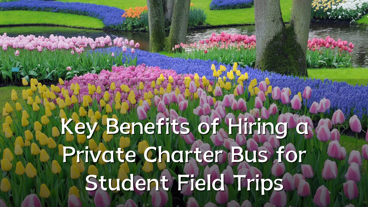 Key Benefits of Hiring a Private Charter Bus for Student Field Trips
