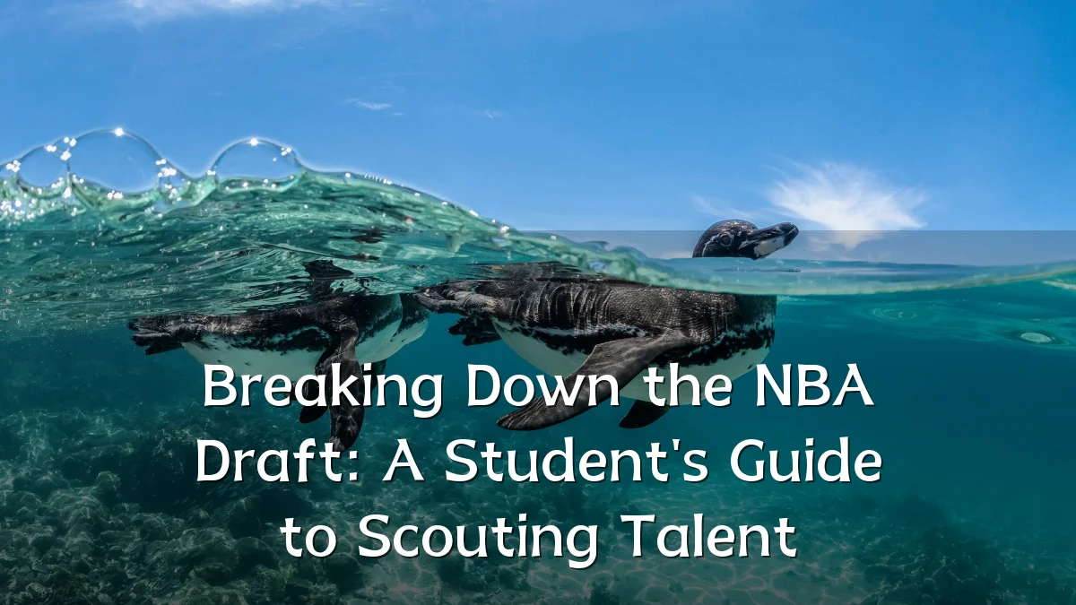 Breaking Down the NBA Draft: A Student's Guide to Scouting Talent