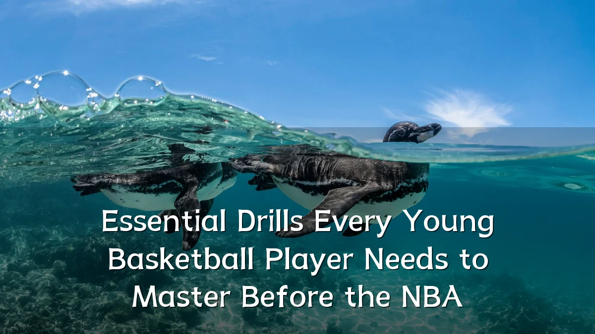 Essential Drills Every Young Basketball Player Needs to Master Before the NBA