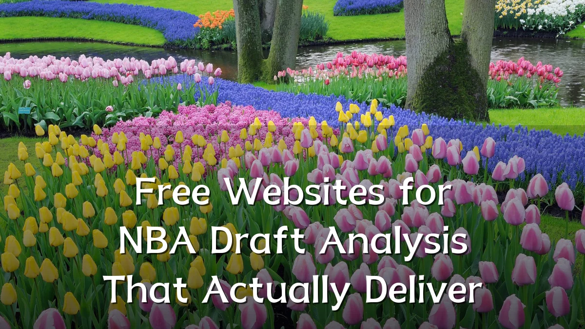 Free Websites for NBA Draft Analysis That Actually Deliver