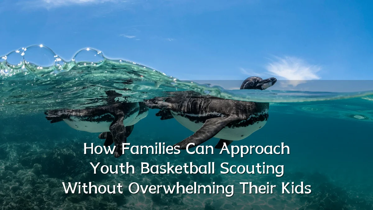 How Families Can Approach Youth Basketball Scouting Without Overwhelming Their Kids