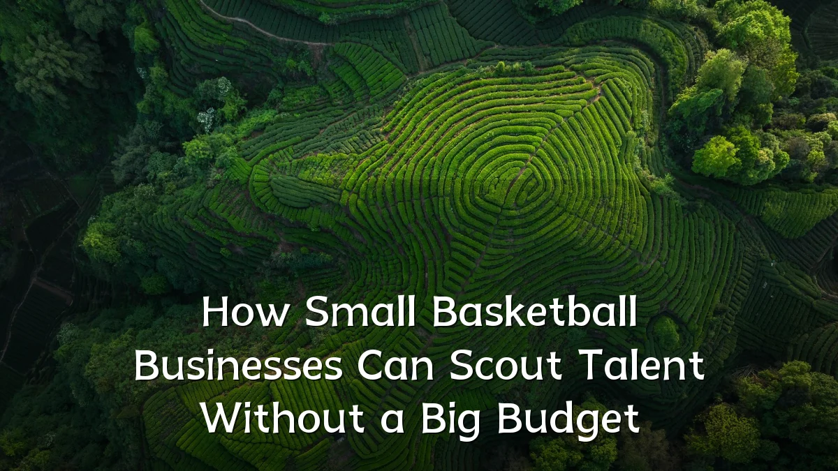 How Small Basketball Businesses Can Scout Talent Without a Big Budget