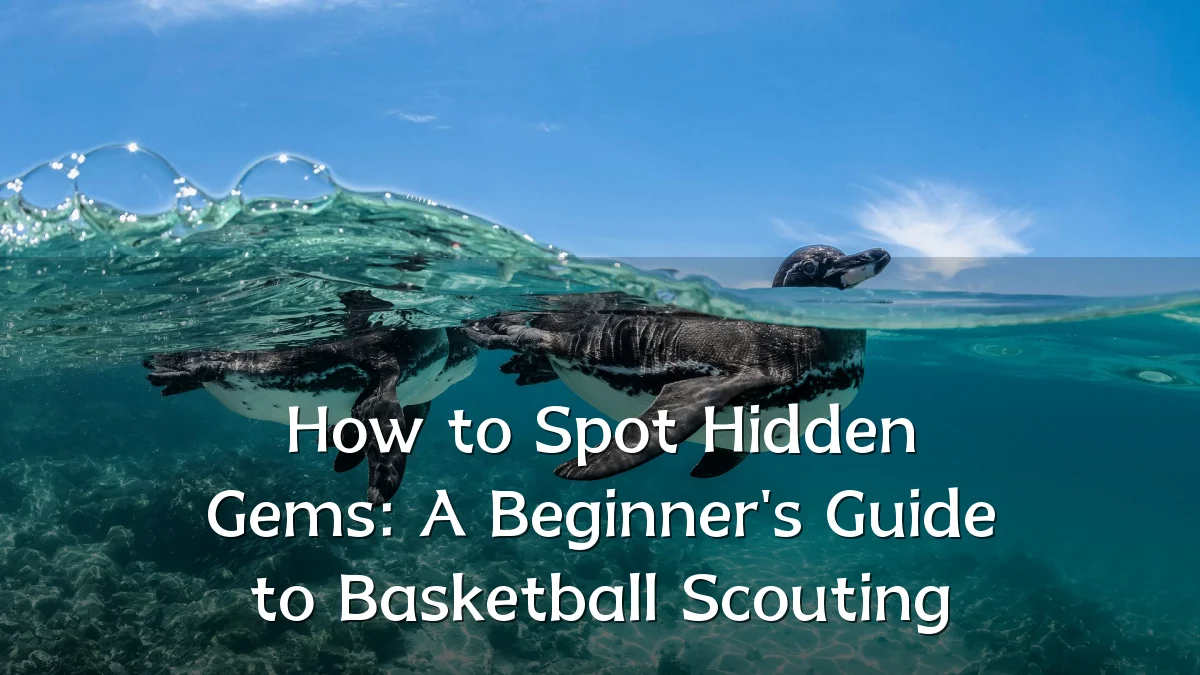 How to Spot Hidden Gems: A Beginner's Guide to Basketball Scouting