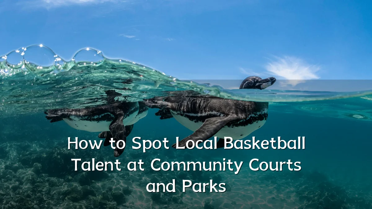 How to Spot Local Basketball Talent at Community Courts and Parks
