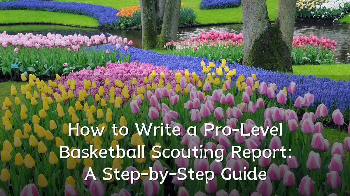 How to Write a Pro-Level Basketball Scouting Report: A Step-by-Step Guide