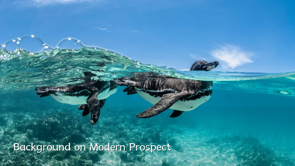 Background on Modern Prospect
