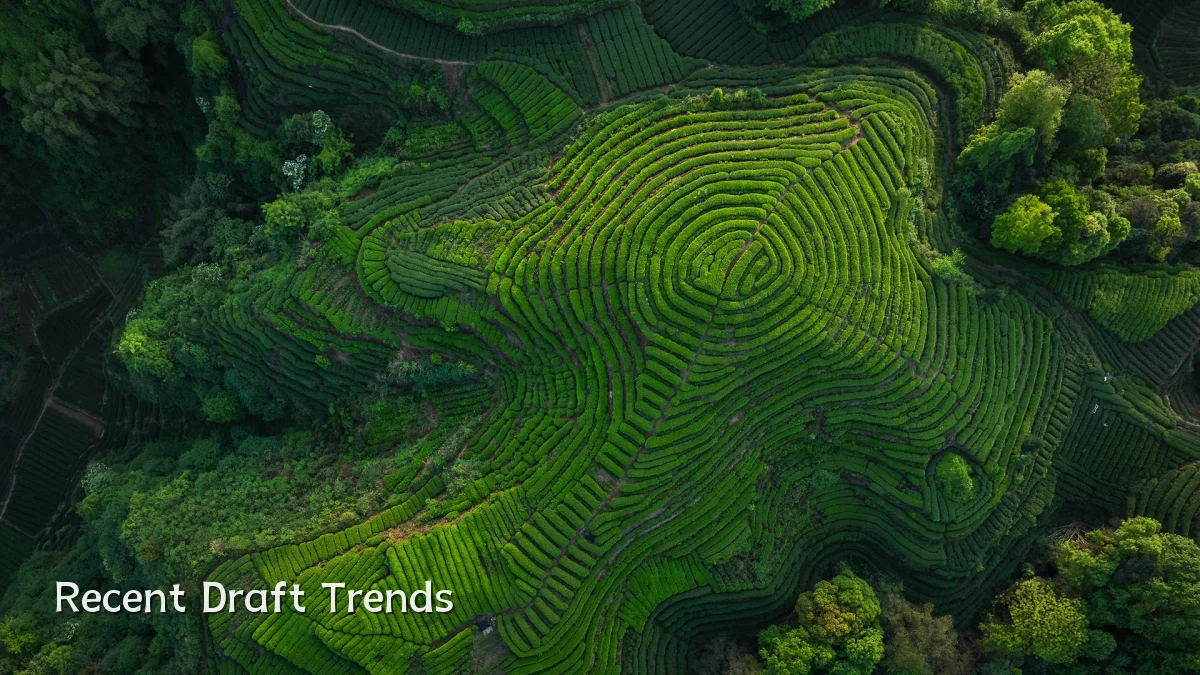 Recent Draft Trends