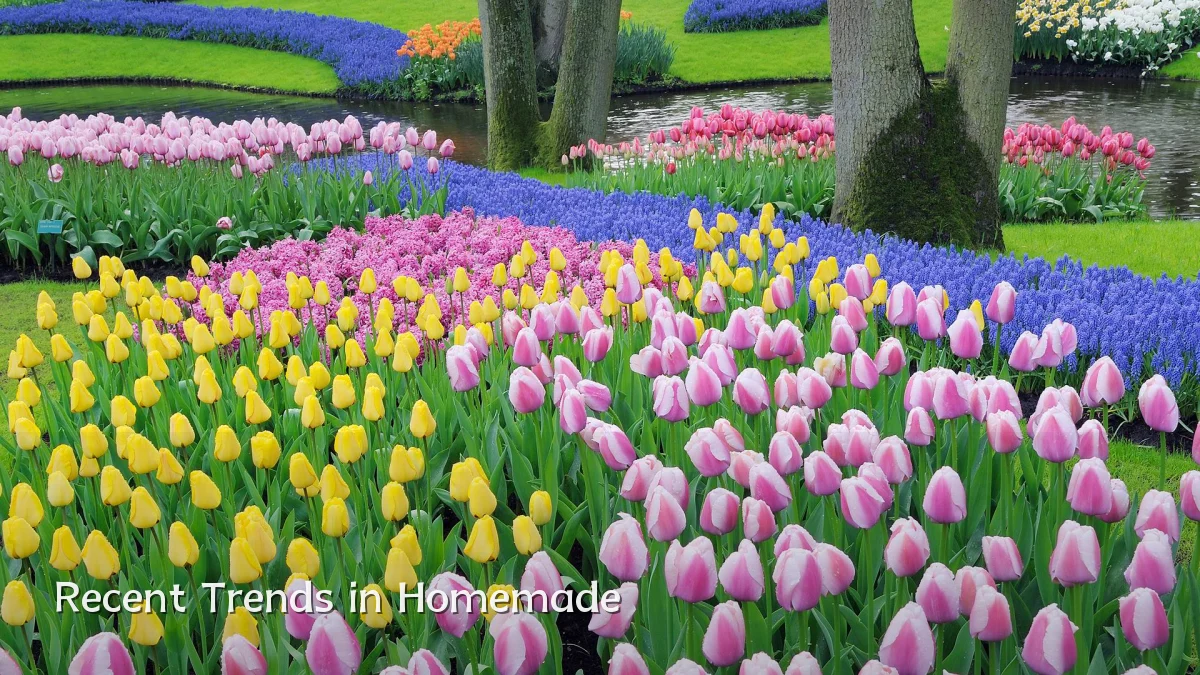 Recent Trends in Homemade