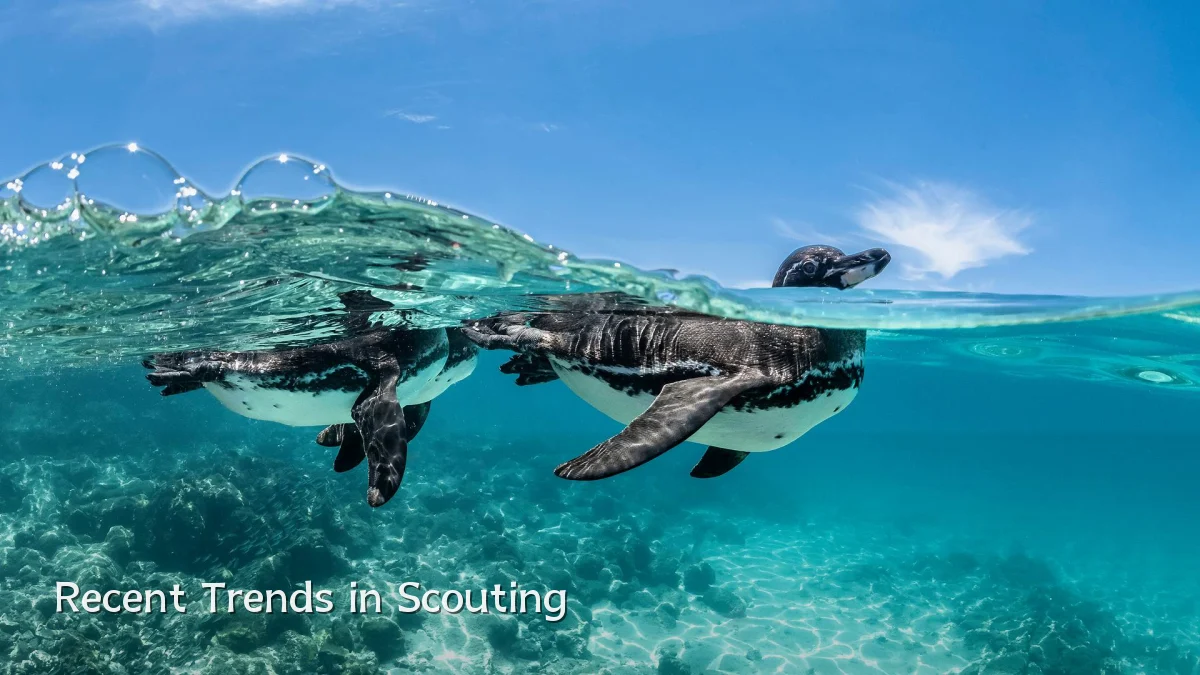 Recent Trends in Scouting
