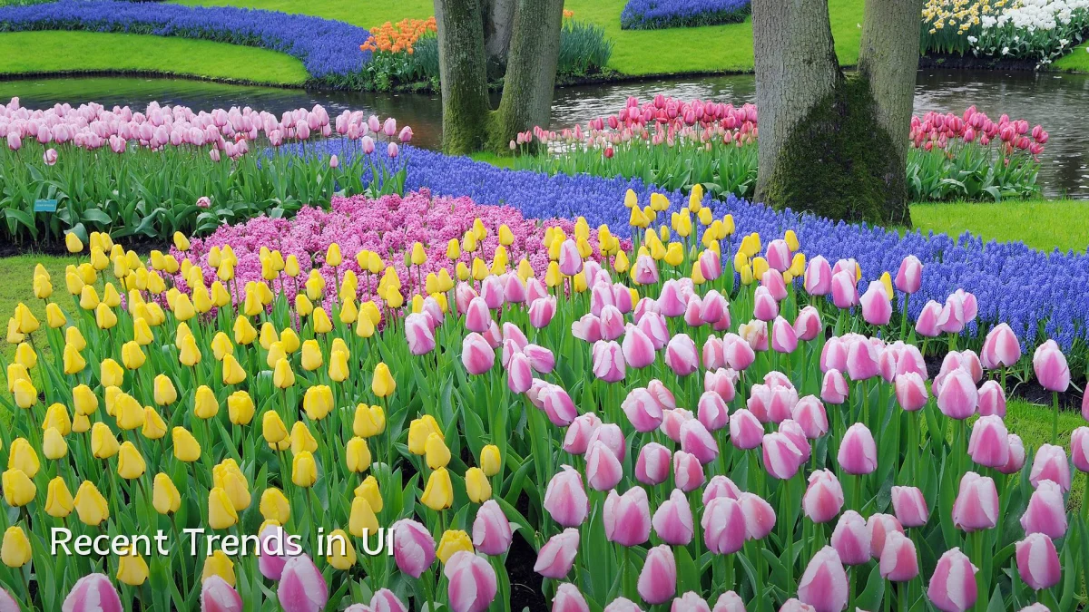 Recent Trends in UI