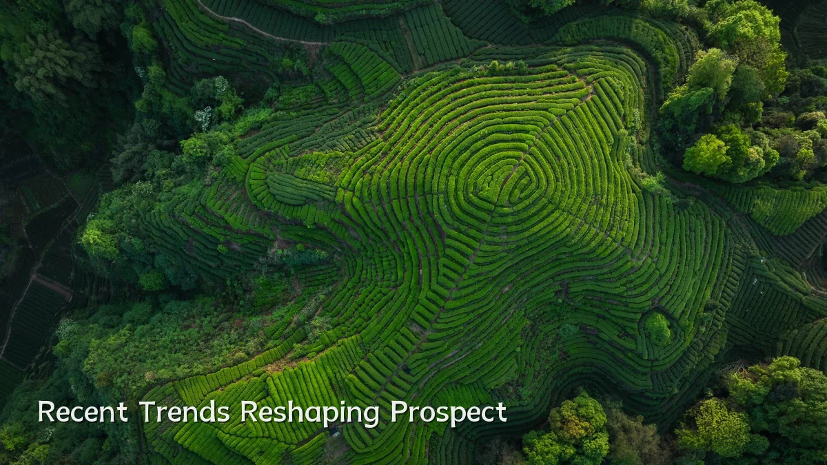 Recent Trends Reshaping Prospect