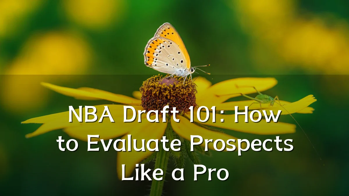 NBA Draft 101: How to Evaluate Prospects Like a Pro