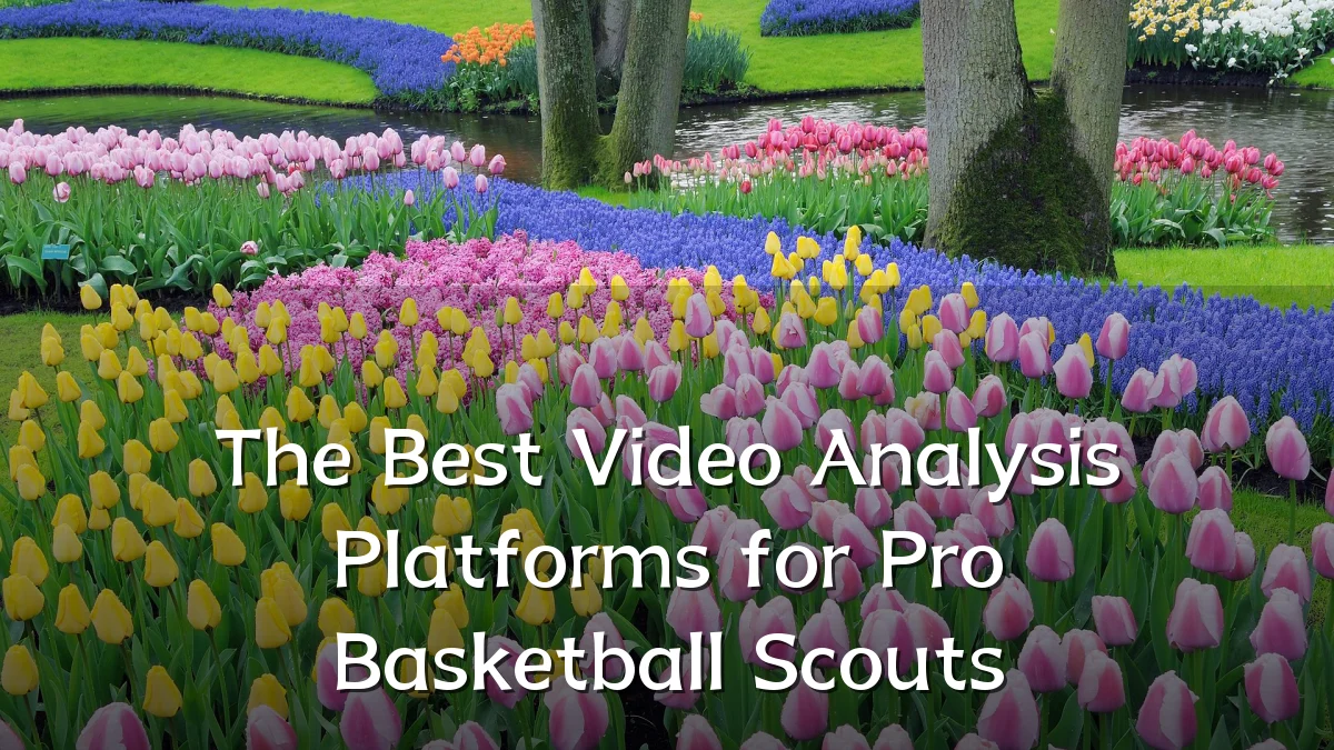 The Best Video Analysis Platforms for Pro Basketball Scouts
