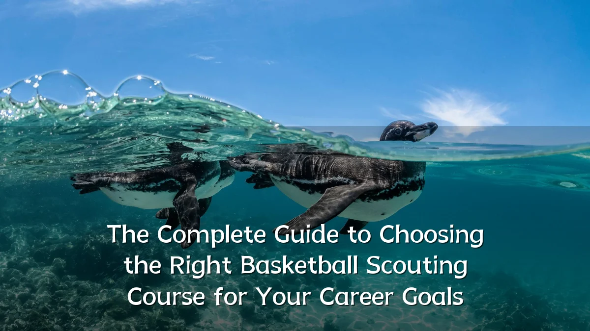The Complete Guide to Choosing the Right Basketball Scouting Course for Your Career Goals