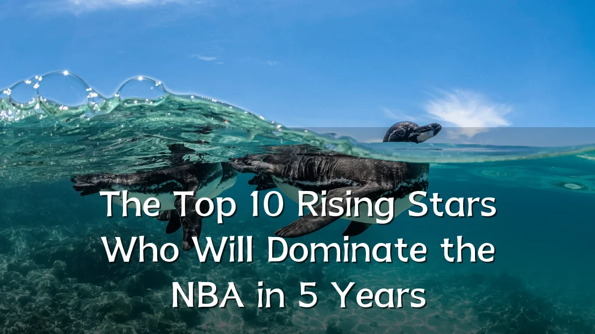 The Top 10 Rising Stars Who Will Dominate the NBA in 5 Years