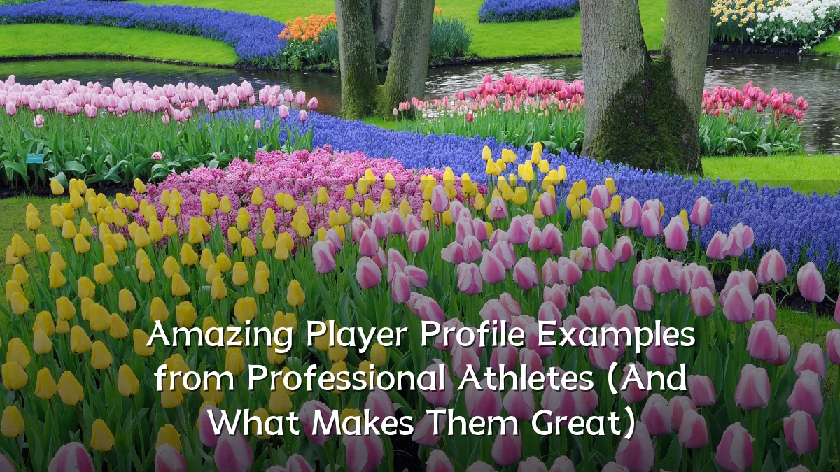 Amazing Player Profile Examples from Professional Athletes (And What Makes Them Great)