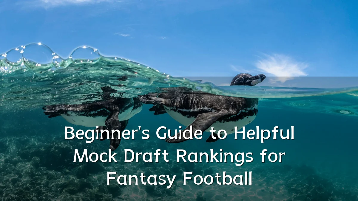 Beginner's Guide to Helpful Mock Draft Rankings for Fantasy Football
