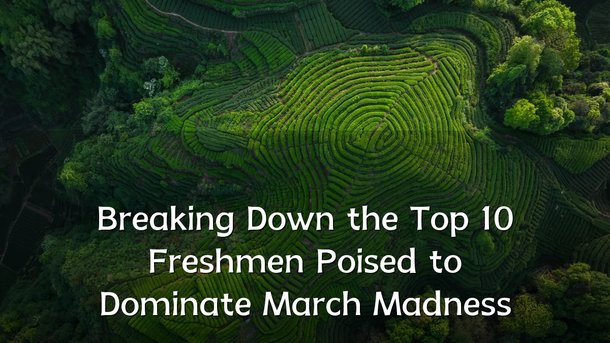 Breaking Down the Top 10 Freshmen Poised to Dominate March Madness