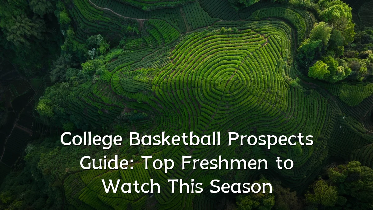College Basketball Prospects Guide: Top Freshmen to Watch This Season