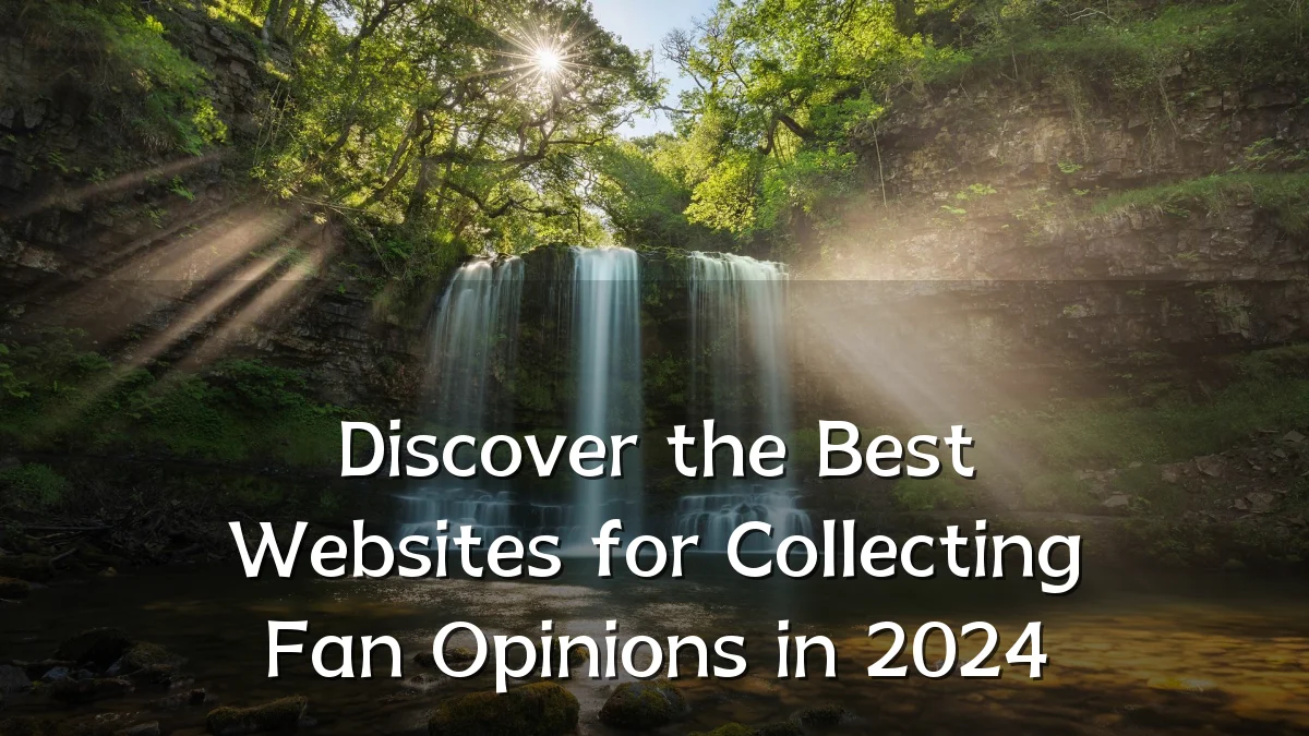 Discover the Best Websites for Collecting Fan Opinions in 2024