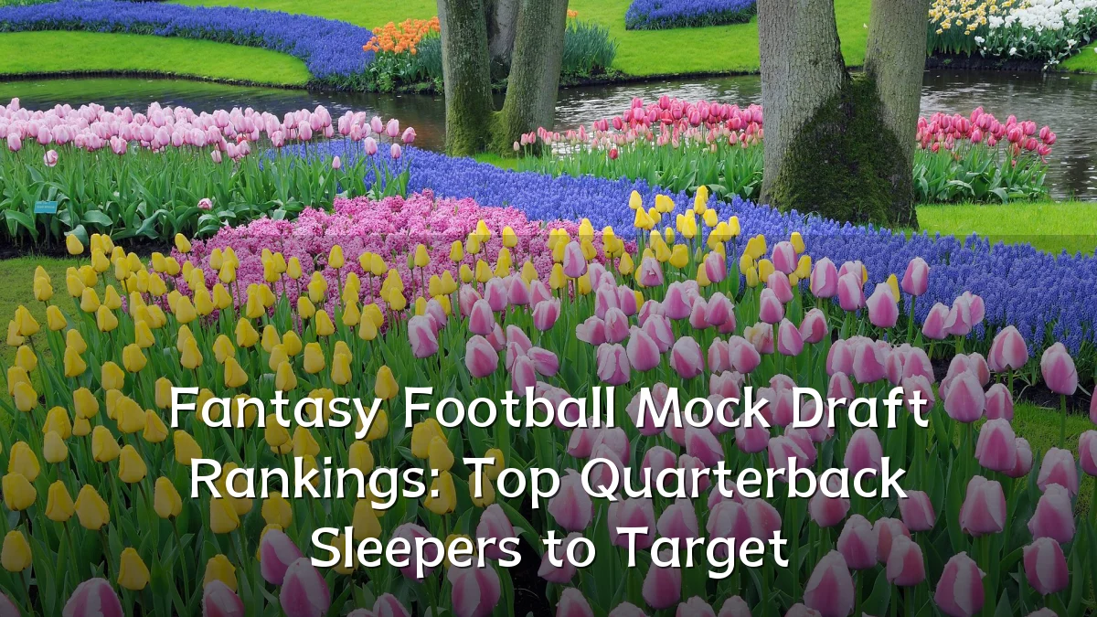 Fantasy Football Mock Draft Rankings: Top Quarterback Sleepers to Target