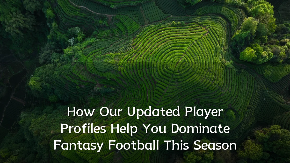 How Our Updated Player Profiles Help You Dominate Fantasy Football This Season