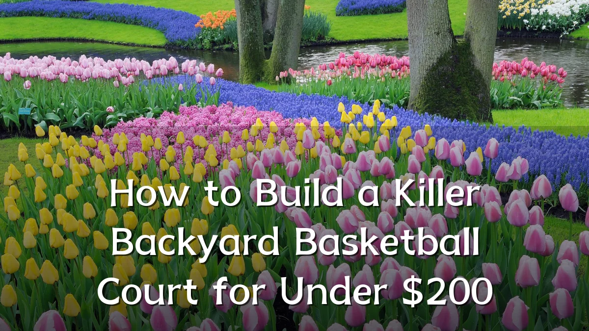 How to Build a Killer Backyard Basketball Court for Under $200