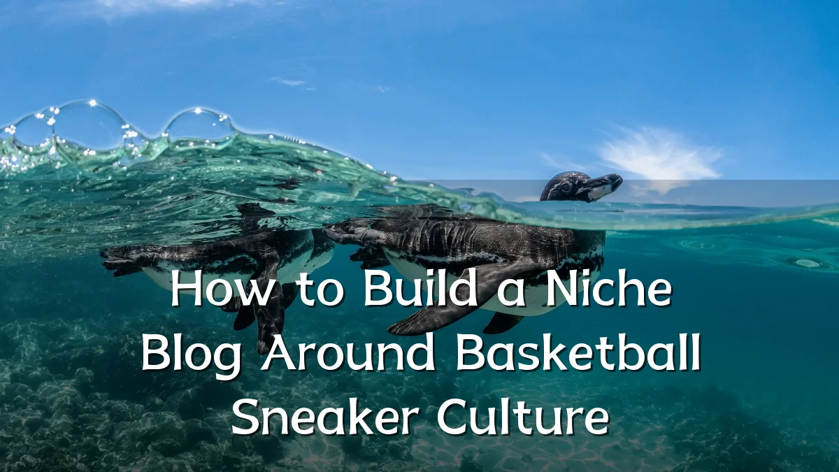 How to Build a Niche Blog Around Basketball Sneaker Culture