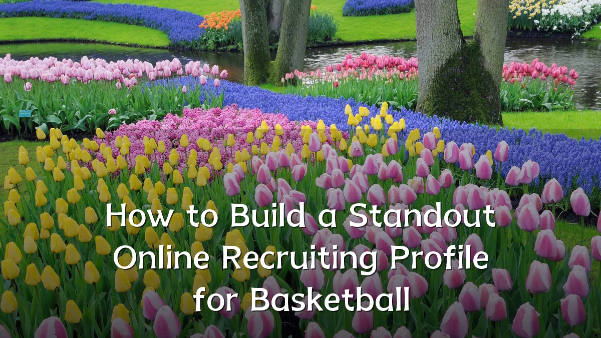 How to Build a Standout Online Recruiting Profile for Basketball