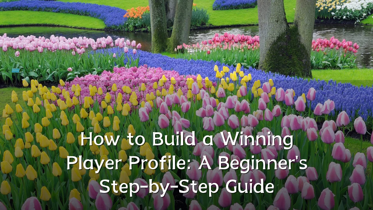 How to Build a Winning Player Profile: A Beginner's Step-by-Step Guide