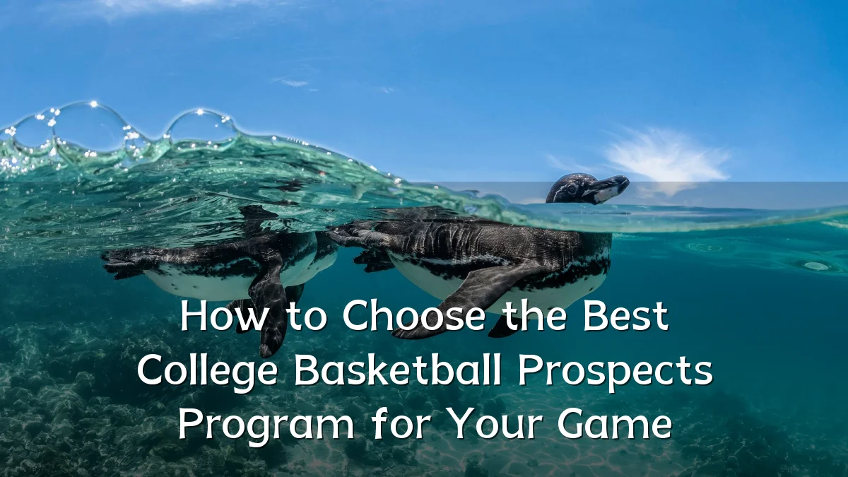 How to Choose the Best College Basketball Prospects Program for Your Game