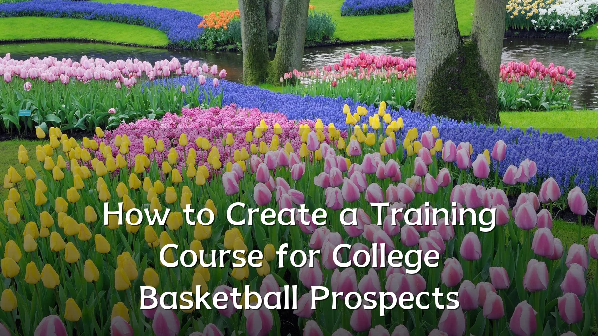 How to Create a Training Course for College Basketball Prospects