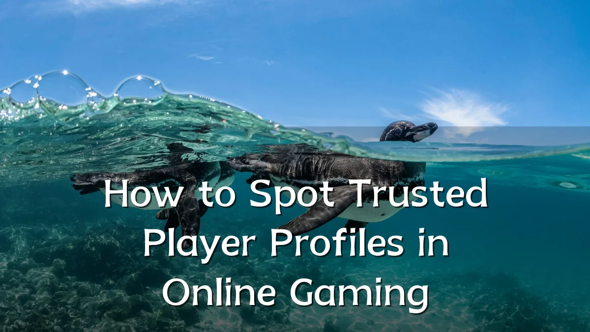 How to Spot Trusted Player Profiles in Online Gaming