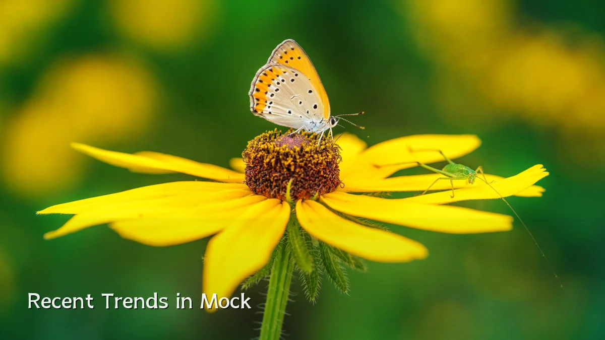 Recent Trends in Mock
