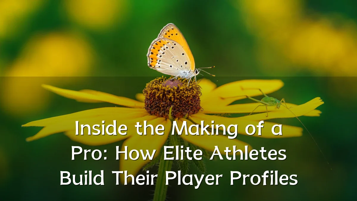 Inside the Making of a Pro: How Elite Athletes Build Their Player Profiles