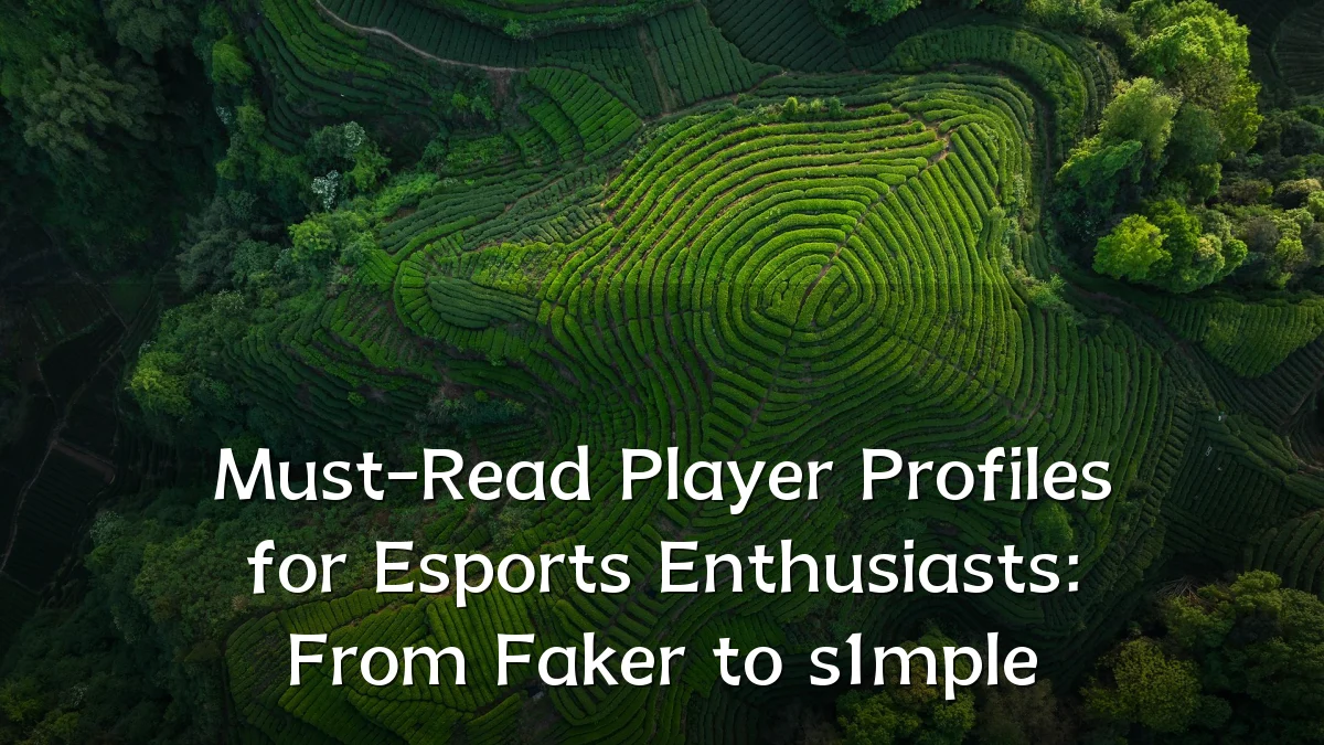 Must-Read Player Profiles for Esports Enthusiasts: From Faker to s1mple