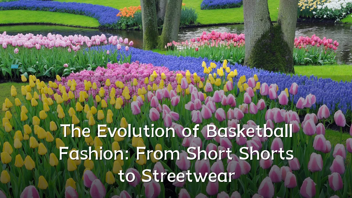The Evolution of Basketball Fashion: From Short Shorts to Streetwear