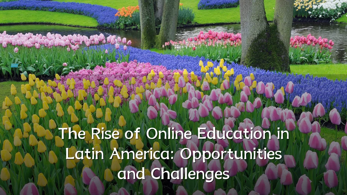 The Rise of Online Education in Latin America: Opportunities and Challenges