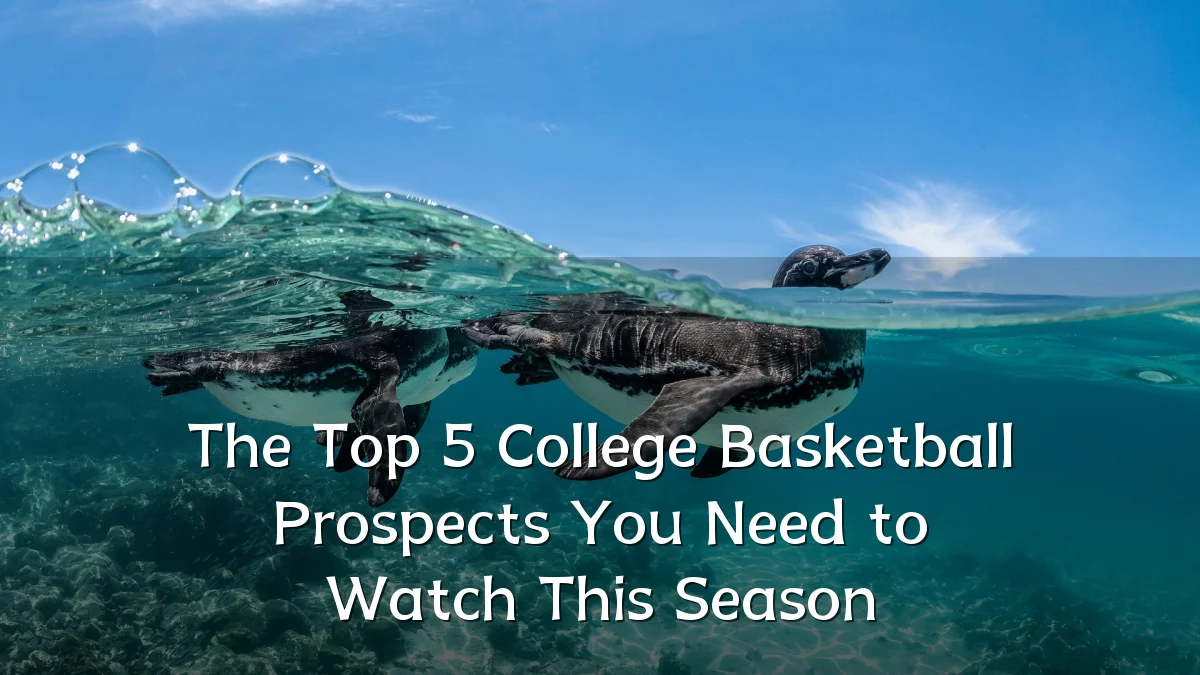 The Top 5 College Basketball Prospects You Need to Watch This Season