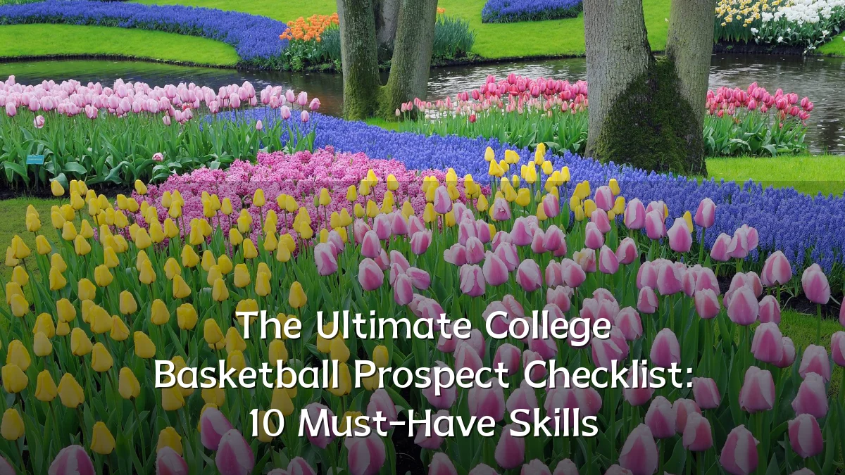 The Ultimate College Basketball Prospect Checklist: 10 Must-Have Skills